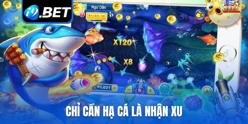Chỉ cần hạ cá là nhận xu