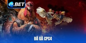 đá gà CPC4