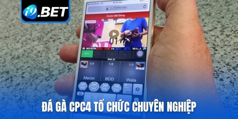 Đá gà CPC4 tổ chức chuyên nghiệp
