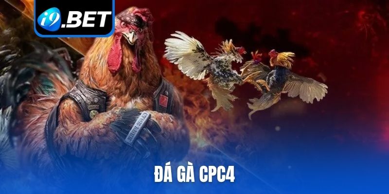 đá gà CPC4