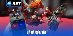 Đá gà cựa sắt