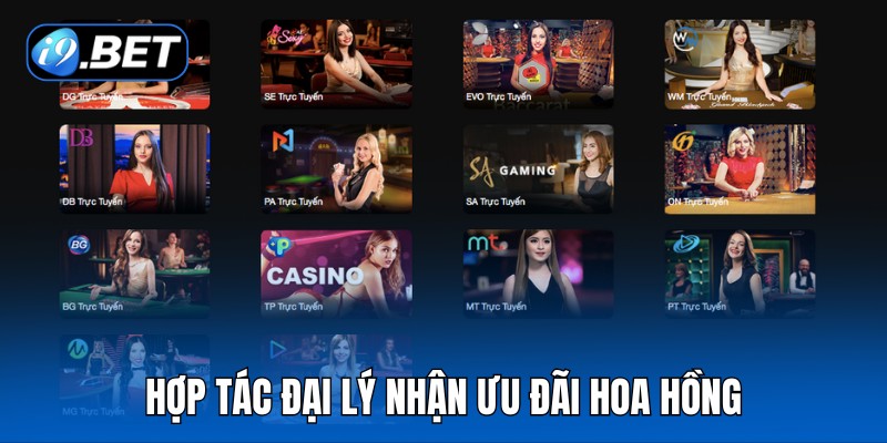 Hợp tác đại lý nhận ưu đãi hoa hồng