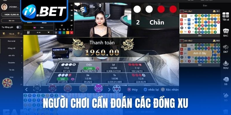 Người chơi cần đoán các đồng xu khi chơi live Xóc đĩa
