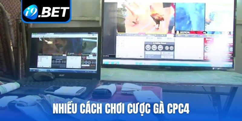 Nhiều cách chơi cược gà CPC4