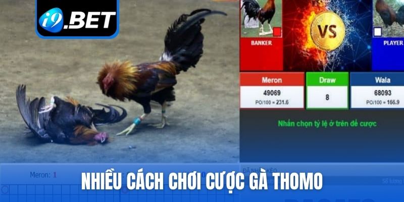 Nhiều cách chơi cược trong đá gà Thomo