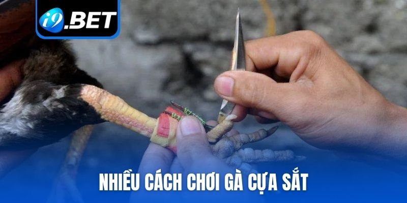Nhiều cách chơi đá gà cựa sắt