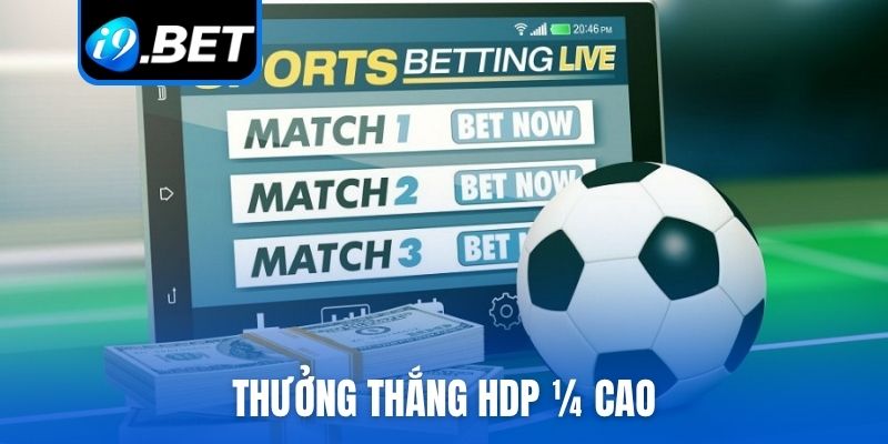 Thưởng thắng HDP 1/4 cao