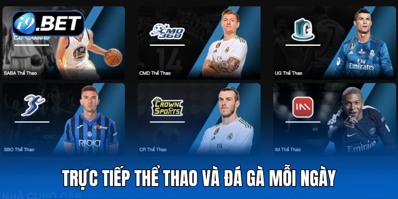 Trực tiếp thể thao và đá gà mỗi ngày