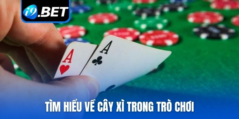 Tìm hiểu về cây xì trong trò chơi